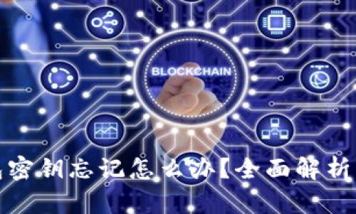 比特币钱包密钥忘记怎么办？全面解析与应对策略