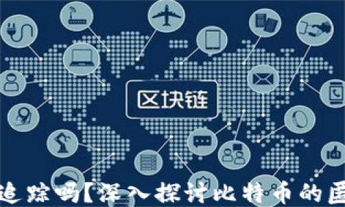 
比特币钱包能被追踪吗？深入探讨比特币的匿名性与追踪机制