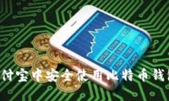 : 如何在支付宝中安全使用