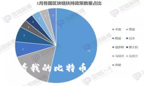 如何查看我的比特币钱包：全面指南