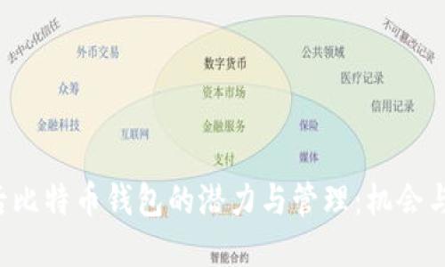 5年后比特币钱包的潜力与管理：机会与挑战
