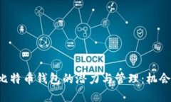 5年后比特币钱包的潜力与