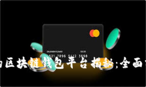 全球最大的区块链钱包平台揭秘：全面分析与比较