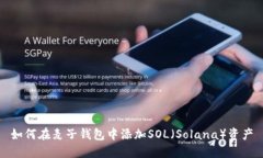 如何在麦子钱包中添加S