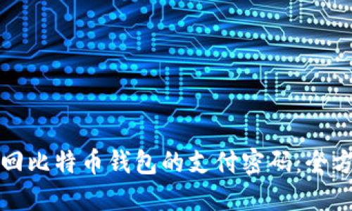 如何找回比特币钱包的支付密码：全方位指南