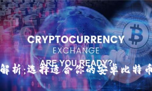 全面解析：选择适合你的安卓比特币钱包