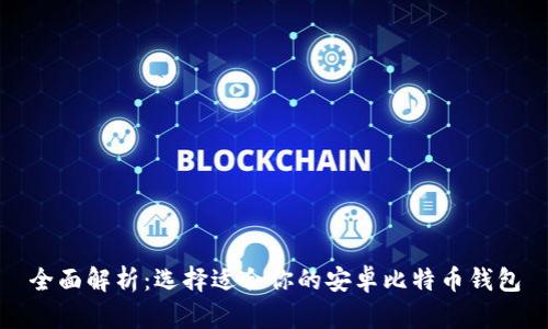 全面解析：选择适合你的安卓比特币钱包