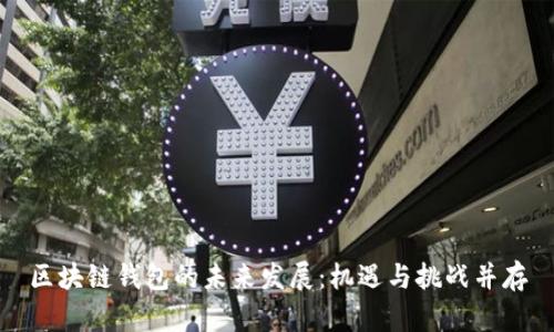 区块链钱包的未来发展：机遇与挑战并存