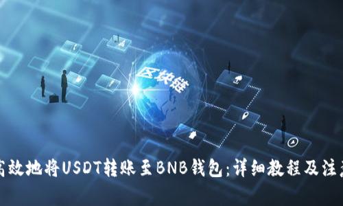 如何高效地将USDT转账至BNB钱包：详细教程及注意事项