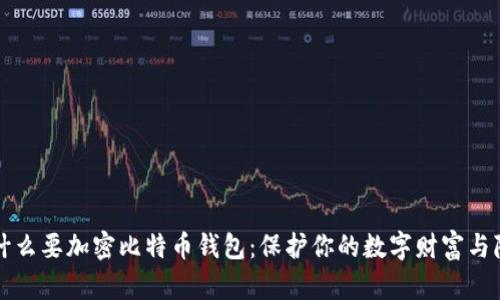 为什么要加密比特币钱包:保护你的数字财富与隐私