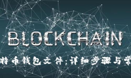 如何打开比特币钱包文件：详细步骤与常见问题解答