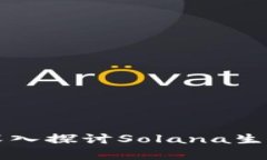 SOL币的价值分析：深入探