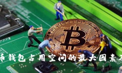 比特币钱包占用空间的最大因素及指南