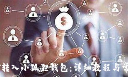   
如何将USDT转入小狐狸钱包：详细教程与常见问题解答