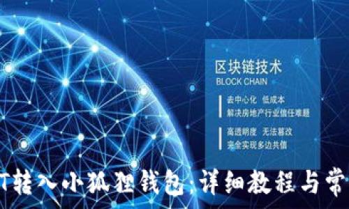   
如何将USDT转入小狐狸钱包：详细教程与常见问题解答