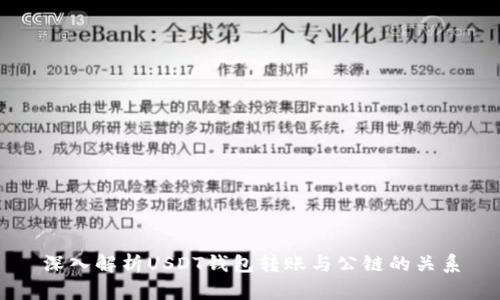 深入解析USDT钱包转账与公链的关系