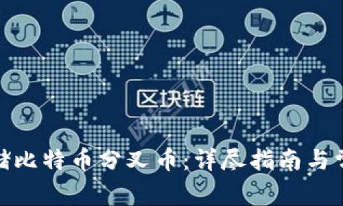  如何安全存储比特币分叉币：详尽指南与常见问题解答 