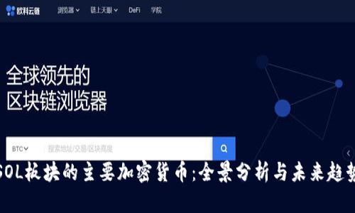 SOL板块的主要加密货币：全景分析与未来趋势