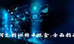 苹果钱包如何支持比特币