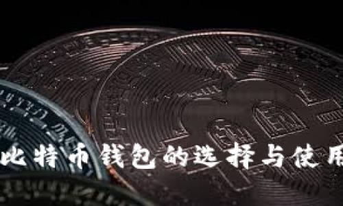 中国比特币钱包的选择与使用指南