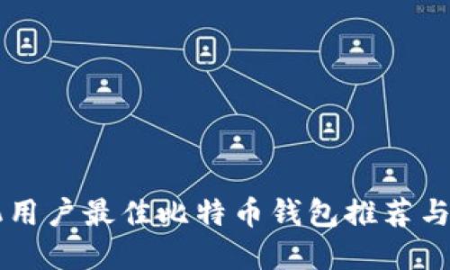 国内苹果手机用户最佳比特币钱包推荐与安全使用指南