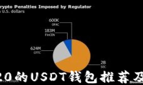 
支持ERC20的USDT钱包推荐及使用指南