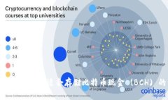 如何选择和使用适合存储比特币现金 (BCH) 的钱包