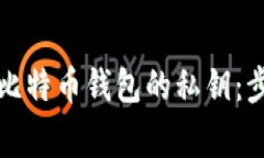 如何安全导入比特币钱包