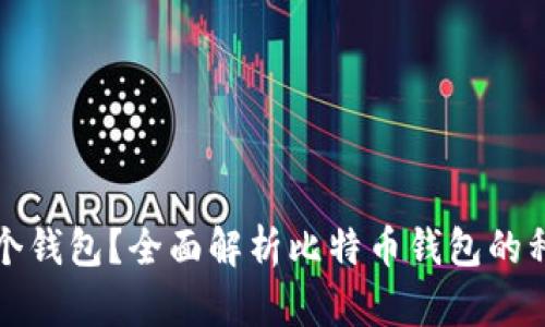 比特币存在哪个钱包？全面解析比特币钱包的种类与选择技巧