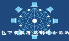 主流比特币钱包下载指南