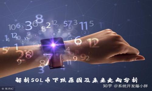 解析SOL币下跌原因及未来走向分析