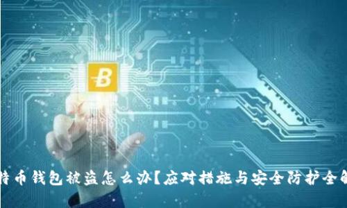 比特币钱包被盗怎么办？应对措施与安全防护全解析