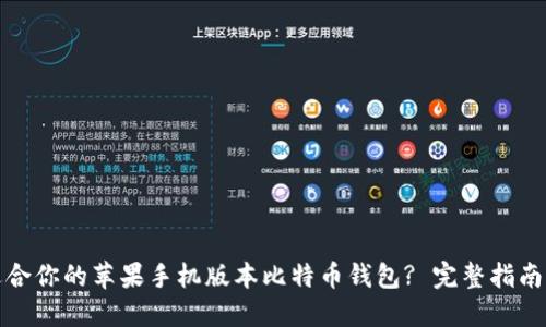 如何选择适合你的苹果手机版本比特币钱包? 完整指南与实用技巧
