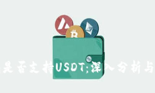 谷歌钱包是否支持USDT：深入分析与使用指南