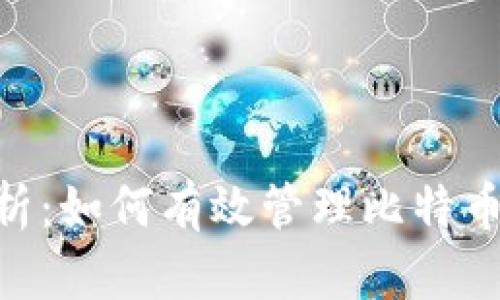 全面解析：如何有效管理比特币HD钱包