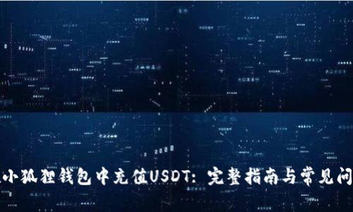 如何在小狐狸钱包中充值USDT: 完整指南与常见问题解答