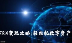 波宝钱包TRX变现攻略：轻松把数字资产转成现金