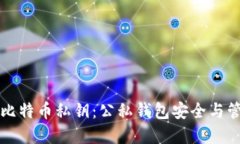 深入了解比特币私钥：公私钱包安全与管理的艺