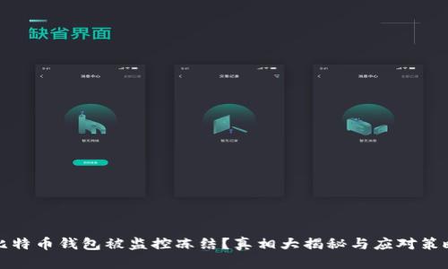 比特币钱包被监控冻结？真相大揭秘与应对策略