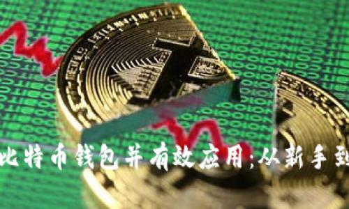 如何安全下载比特币钱包并有效应用：从新手到高手的全指南