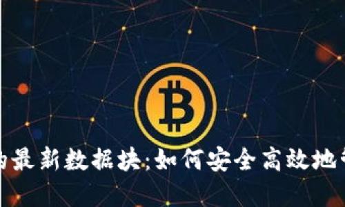 探索狗狗币钱包的最新数据块：如何安全高效地管理你的数字资产