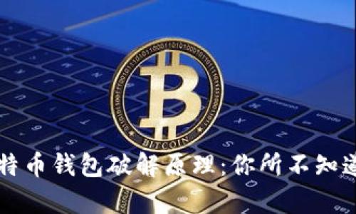 深入探讨比特币钱包破解原理：你所不知道的背后真相