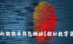 如何快速找到你的狗狗币