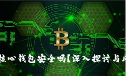 狗狗币核心钱包安全吗？深入探讨与风险分析