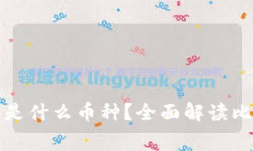 比特派钱包用的手续费是什么币种？全面解读比特派钱包的手续费机制