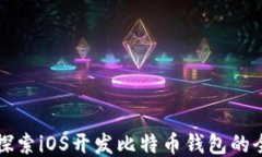 深入探索iOS开发比特币钱