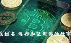 比特币钱包姓名：选择和