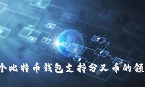 哪个比特币钱包支持分叉币的领取？