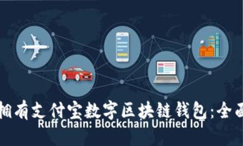 如何拥有支付宝数字区块链钱包：全面指南