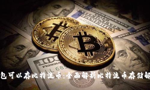 什么钱包可以存比特流币：全面解析比特流币存储解决方案